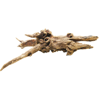 Decorline Driftwood Misura cm38x38x15h Foto Reale cod.DW02