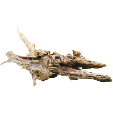 Decorline Driftwood Misura cm38x38x15h Foto Reale cod.DW02