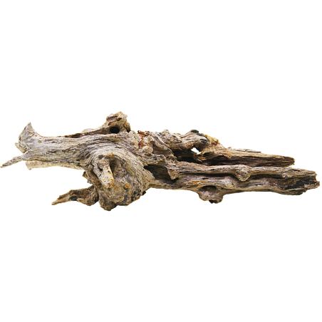 Decorline Driftwood Misura cm38x38x15h Foto Reale cod.DW02