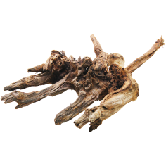 Decorline Driftwood Misura cm42x38x23h Foto Reale cod.DW27