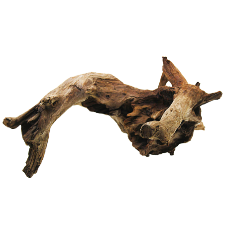 Decorline Driftwood Misura cm35x45x23 Foto Reale cod.DW17
