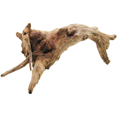 Decorline Driftwood Misura cm35x45x23 Foto Reale cod.DW17