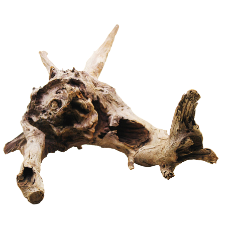 Decorline Driftwood Misura cm35x45x23 Foto Reale cod.DW17