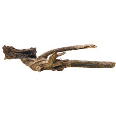 Decorline Driftwood Misura cm41x36x10h Foto Reale cod.DW05