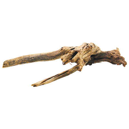 Decorline Driftwood Misura cm41x36x10h Foto Reale cod.DW05
