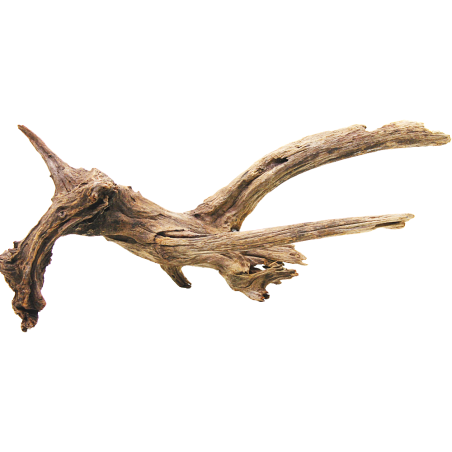 Decorline Driftwood Misura cm41x36x10h Foto Reale cod.DW05