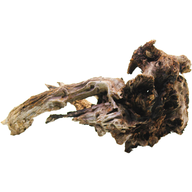Decorline Driftwood Misura cm32x38x14h Foto Reale cod.DW10