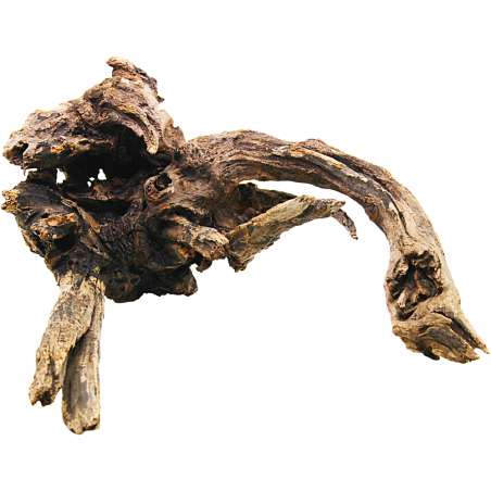 Decorline Driftwood Misura cm32x38x14h Foto Reale cod.DW10