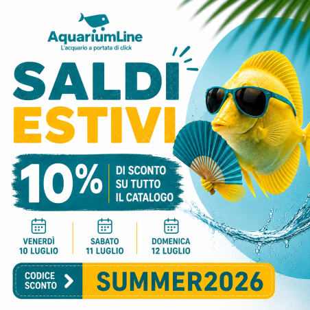 Promo Saldi Estivi 2026 - Condizioni di vendita