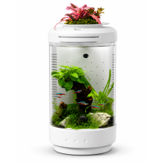 MicMol Aqua Pod 4 – Mini acquario da tavolo 4,3 litri con...