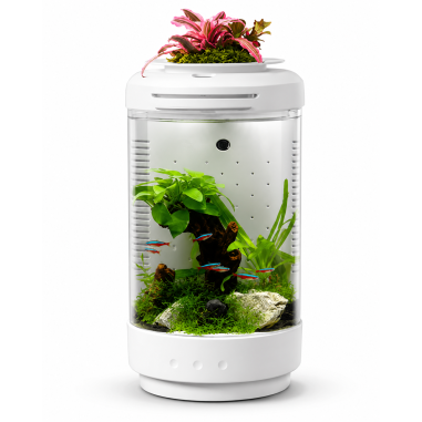 MicMol Aqua Pod 4 – Mini acquario da tavolo 4,3...