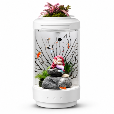 MicMol Aqua Pod 4 – Mini acquario da tavolo 4,3...