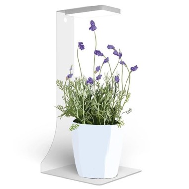 MicMol Magnetic Stand – Supporto magnetico da...