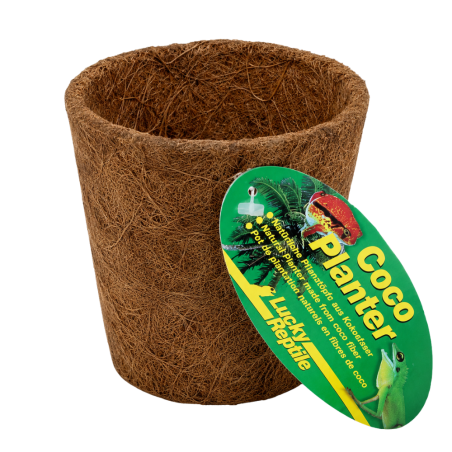 Lucky Reptile Coco Planter Medium 1,5 L – Vaso naturale in fibra di cocco