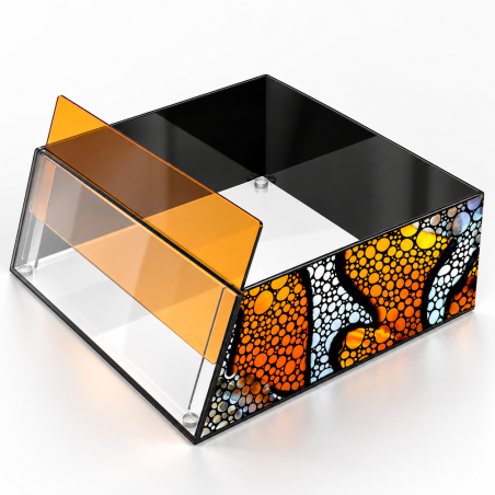 Flipper Top Down Viewer Clownfish 8" - lente galleggiante in acrilico