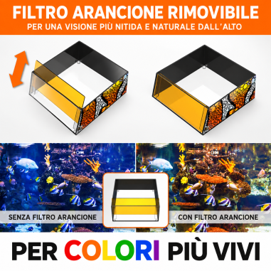 Flipper Top Down Viewer Clownfish 8" - lente...