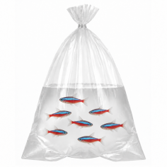 Busta per Trasporto Pesci 70um cm12x30 - 1 pezzo