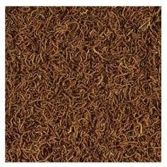 Tropical FD Blood Worms 100ml/7gr – Chironomus... 2