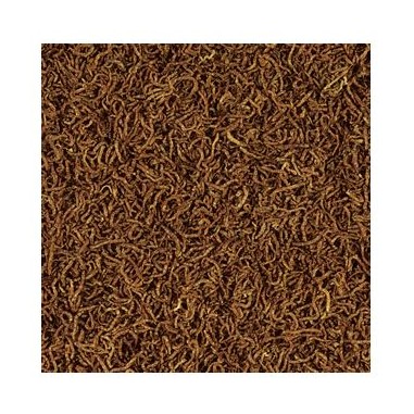 Tropical FD Blood Worms 100ml/7gr – Chironomus...