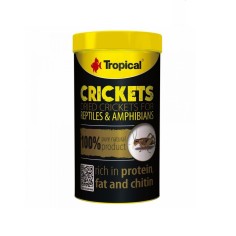 Tropical Crickets 100ml/10gr – Grilli essiccati per...