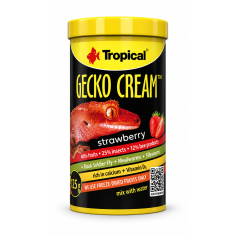Tropical Gecko Cream Strawberry 100ml/50gr – alimento...