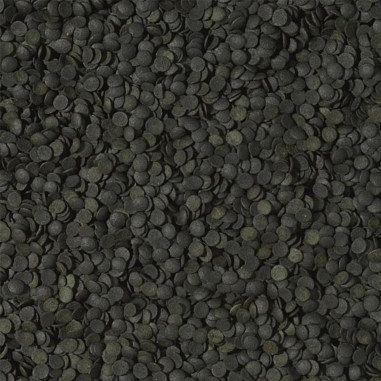 Tropical Spirulina Super Forte 36% Chips 100ml - Alto Contenuto di Spirulina Platensis