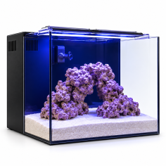 AquaForest Nano Tank - Acquario cm45×45×45 90L completo... 2