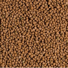 Tropical Koi Probiotic Pellet Size S 1000ml/320gr –... 2