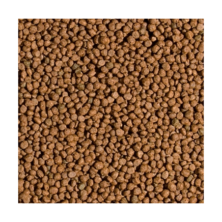 Tropical Koi Probiotic Pellet Size M 1000ml/320gr – Mangime probiotico galleggiante per carpe Koi