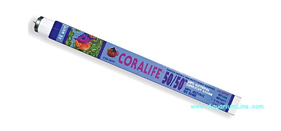 Coralife Neon T8 50/50 30w