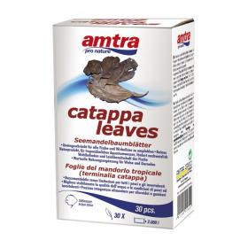 Amtra Pro Nature Catappa Leaves 30st