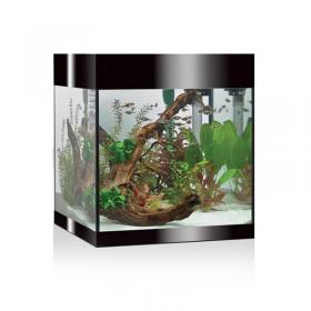 Askoll Pure kit M LED Nero - kit acquario cm 36x36x43,5h 44 litri con illuminazione LED e sistema di filtraggio
