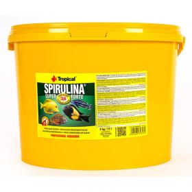 Tropical Spirulina Super Forte - 36% di Spirulina - Secchiello Allevatori 11 litri / 2kg