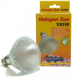 Lucky Reptile Halogen Sun 100w - lampada alogena attacco E27 per rettili