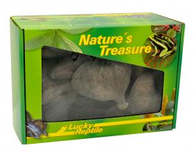 Lucky Reptile Natures Treasure Deco Box - set di decorazioni per terrari
