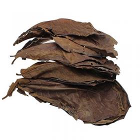 Catappa Leaves 12pcs - Tropical Almond Leaves for 800 Lt
