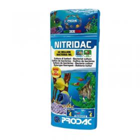 Prodac Nitridac 30 ml - Attivatore Batterico ad Alta Concetrazione Confezione per 300 Litri