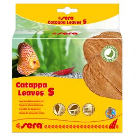 Sera Catappa Leaves S 14cm 10pz - foglie di mandorlo indiano