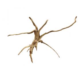 Decorline Spider Wood misure cm18x14x7 Foto Reale cod.SP06