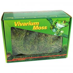 Lucky Reptile Vivarium Moss 150gr - muschio espandibile per terrari umidi