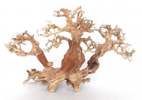 DecorLine Trident Bonsai Wood Medium cm40x25x20h