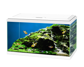 Ciano Aquarium Aqua 60 LED White