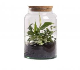 Mini Garden Jar 6,2L cm18,5x18,5x32,3h