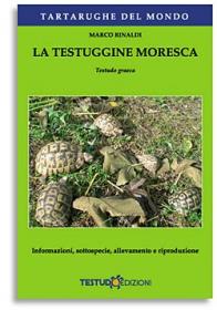 Testudo Edizioni - La Testuggine Moresca