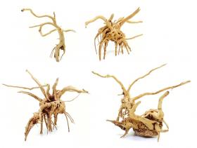DecorLine Spider Wood medium 20-35cm