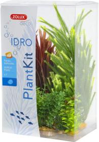 Zolux Deco Plantkit Idro mod.4 - set di 7 piante sintetiche
