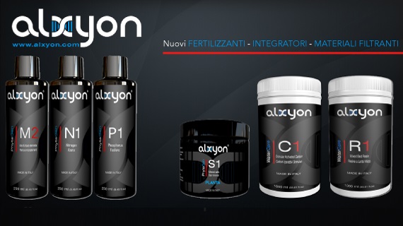 Alxyon