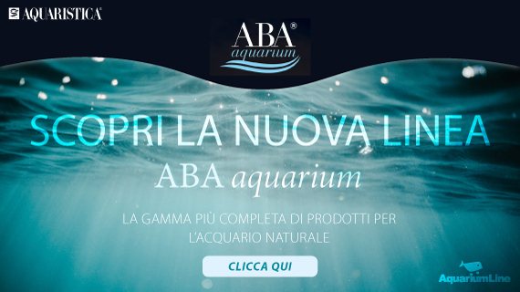 Aquaristica ABA