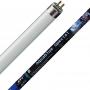 ATI AquaBlue Special Neon T5 24watt - New Generation