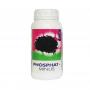 Aquili Phosphat Minus 3450ml - resina assorbente anti-fosfati